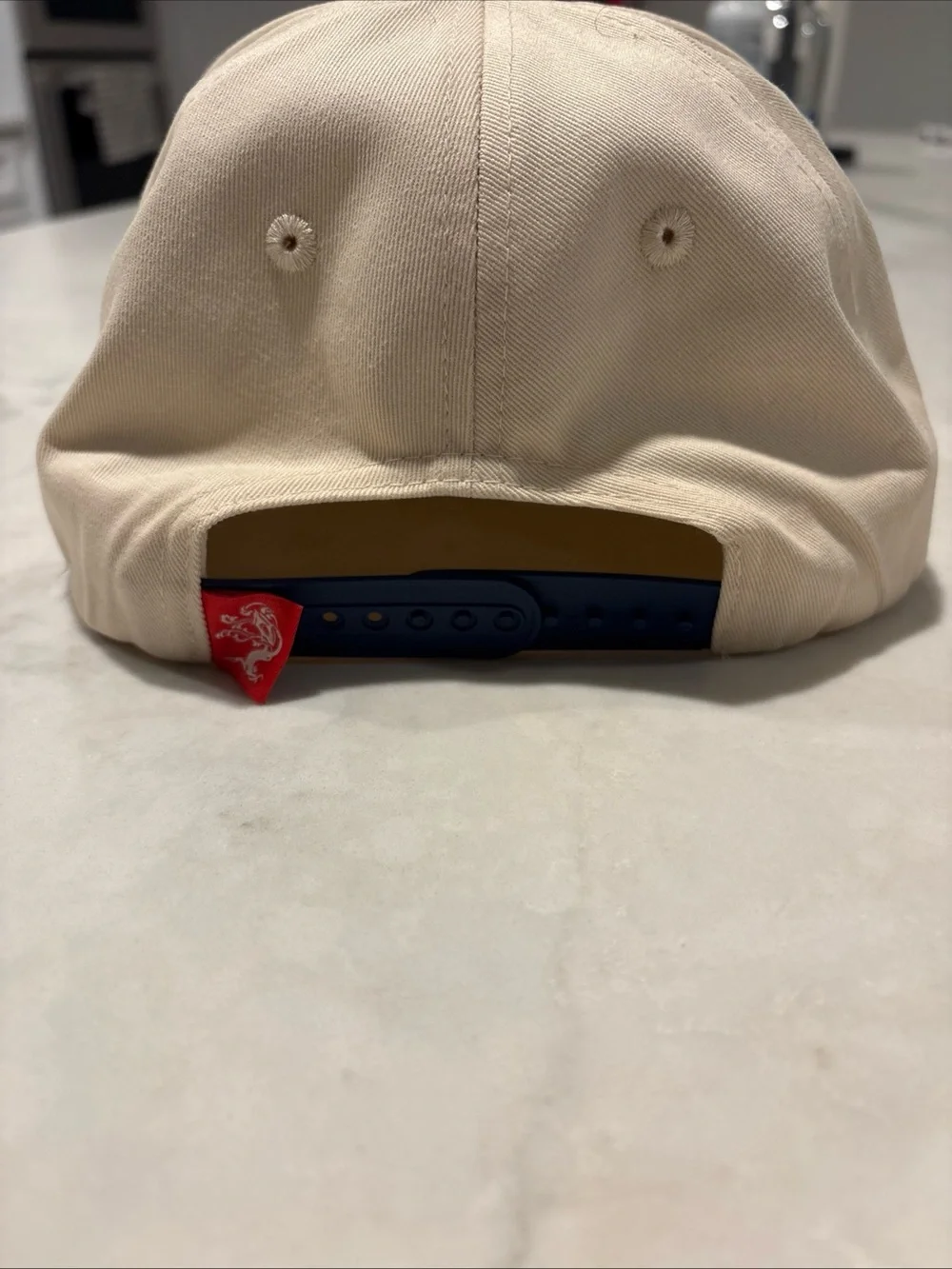 Tree House Brewing NWOT | Two-Tone Beige and Navy Cap